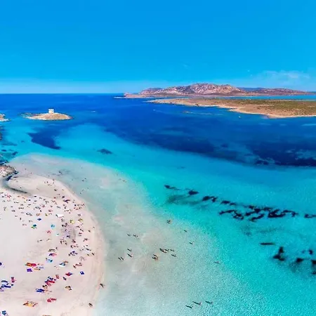 In 43445 Σπίτι διακοπών