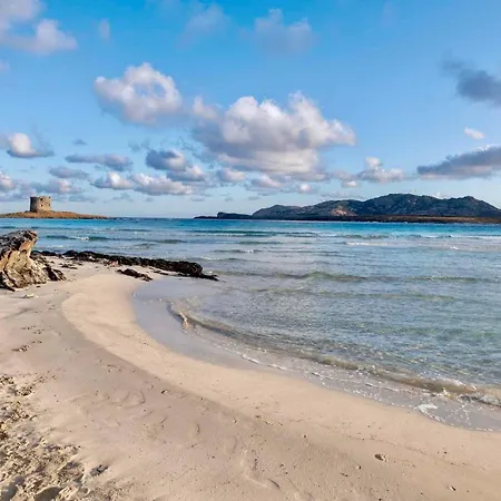 Дом отдыха In 43445 *